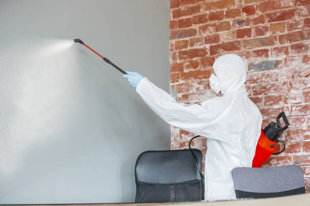 Best Post-Remediation Verification Testing  in Ganado, TX