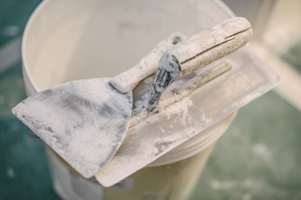 Best Mold Damage Restoration  in Ganado, TX